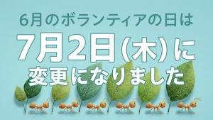 6月のボランティアの日は7月2日に変更になりました
